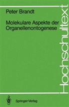 Peter Brandt - Molekulare Aspekte der Organellenontogenese