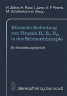 Fassl, H Fassl, H. Fassl, I. Jurna, I Jurna u a, K. F. Pietrzik... - Klinische Bedeutung von Vitamin B1, B6, B12 in der Schmerztherapie