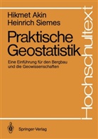 Hikme Akin, Hikmet Akin, Heinrich Siemes - Praktische Geostatistik
