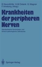 Folker Amelung, Heinz-Walte Delank, Heinz-Walter Delank, Bernhard Neundörfer, Gustav Wagner, Gustav Wagner u a - Krankheiten der peripheren Nerven
