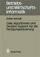 Günter Schmidt - CAM: Algorithmen und Decision Support für die Fertigungssteuerung