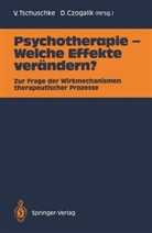 Czogalik, Czogalik, Dietmar Czogalik, Volke Tschuschke, Volker Tschuschke - Psychotherapie - Welche Effekte verändern?