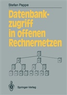 Stefan Pappe - Datenbankzugriff in offenen Rechnernetzen