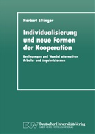 Herbert Effinger - Individualisierung und neue Formen der Kooperation