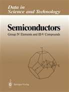 Otfried Madelung - Semiconductors