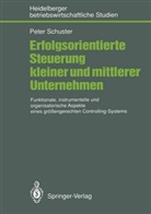 Peter Schuster - Erfolgsorientierte Steuerung kleiner und mittlerer Unternehmen
