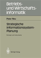 Peter Neu - Strategische Informationssystem-Planung