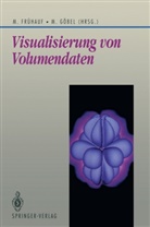 Marti Frühauf, Martin Frühauf, Göbel, Göbel, Martin Göbel - Visualisierung von Volumendaten