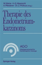 Werner Kleine, Hans-Ger Meerpohl, Hans-Gerd Meerpohl, Albrecht Pfleiderer, Albrecht Pfleiderer u a, Christian Z. Profous - Therapie des Endometriumkarzinoms
