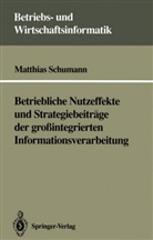 Matthias Schumann - Betriebliche Nutzeffekte und Strategiebeiträge der großintegrierten Informationsverarbeitung