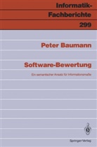 Peter Baumann - Software-Bewertung