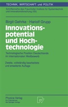 Birgi Gehrke, Birgit Gehrke, Hariolf Grupp - Innovationspotential und Hochtechnologie