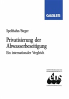 Sabine Spelthahn, Ulrich Steger - Privatisierung der Abwasserbeseitigung