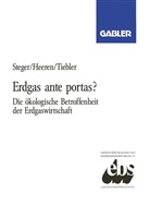 Rolf Heeren, Ulrich Steger, Petra Tiebler - Erdgas ante portas?