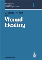 Redl, Redl, Heinz Redl, Günthe Schlag, Günther Schlag - Fibrin Sealing in Surgical and Nonsurgical Fields - 1: Fibrin Sealing in Surgical and Nonsurgical Fields