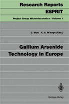 A M'baye, A M'baye, Abdoul A. M'baye, Josep Mun, Joseph Mun - Gallium Arsenide Technology in Europe
