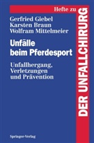 Karste Braun, Karsten Braun, Gerfrie Giebel, Gerfried Giebel, Wolfr Mittelmeier, Wolfram Mittelmeier - Unfälle beim Pferdesport