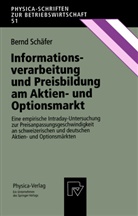Bernd Schäfer - Informationsverarbeitung und Preisbildung am Aktien- und Optionsmarkt