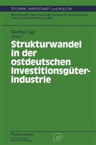 Gunte Lay, Gunter Lay - Strukturwandel in der ostdeutschen Investitionsgüterindustrie