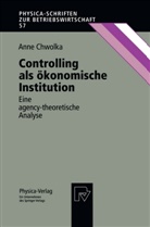 Anne Chwolka - Controlling als ökonomische Institution