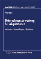 Peter Beck - Unternehmensbewertung bei Akquisitionen