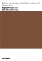 Christian Laux - Kapitalstruktur und Verhaltenssteuerung