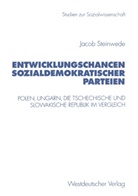 Jacob Steinwede - Entwicklungschancen sozialdemokratischer Parteien