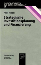 Peter Nippel - Strategische Investitionsplanung und Finanzierung