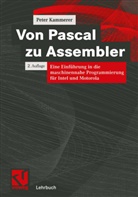 Peter Kammerer - Von Pascal zu Assembler