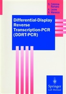 Sergi Colonna-Romano, Sergio Colonna-Romano, Antonell Leone, Antonella Leone, B Maresca, Bruno Maresca - Differential-Display Reverse Transcription-PCR (DDRT-PCR)