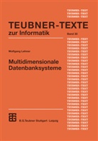 Wolfgang Lehner - Multidimensionale Datenbanksysteme