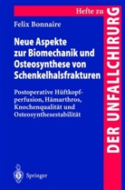 Felix Bonnaire - Neue Aspekte zur Biomechanik und Osteosynthese von Schenkelhalsfrakturen