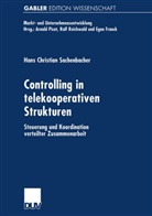 Hans Chr. Sachenbacher, Hans Christian Sachenbacher - Controlling in telekooperativen Strukturen