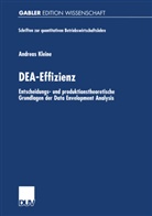 Andreas Kleine - DEA-Effizienz