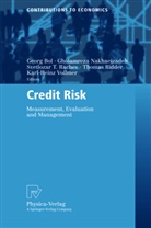 Georg Bol, Gholamrez Nakhaeizadeh, Gholamreza Nakhaeizadeh, Svetlozar T. Rachev, Thomas Ridder, Svetlozar T Rachev et al... - Credit Risk