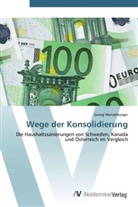 Georg Wenzelburger - Wege der Konsolidierung