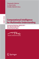A. Enis Cetin, Enis Cetin, A Enis Cetin, Emanuele Salerno, Ovidio Salvetti - Computational Intelligence for Multimedia Understanding