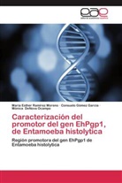 Mónica DeNova Ocampo, Consuel Gómez García, Consuelo Gómez García, María Esthe Ramírez Moreno, María Esther Ramírez Moreno - Caracterización del promotor del gen EhPgp1, de Entamoeba histolytica