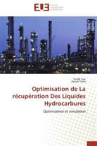 Ayoub Terea, Toufi Zaiz, Toufik Zaiz - Optimisation de la recuperation
