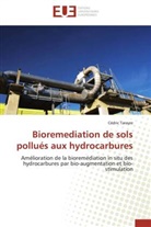 Cédric Tarayre, Tarayre-c - Bioremediation de sols pollues