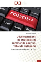 Mohamed Mediouni, Mediouni-m - Developpement de strategies de