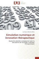 Leo Aymar Ghemtio Wafo, Wafo-l - Simulation numerique et