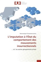 Bowurossigué Chrisostome Sanou, Sanou-B - L imputation a l etat du