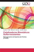 Juan M Badano, Juan M. Badano, Carolina Betti, Carolina P Betti, Carolina P. Betti, Mónica Quiroga... - Catalizadores Bimetálicos Sulforresistentes