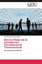 Amalia Patricia Cobos Campos - Breves Notas de la Jurisdicción Constitucional Transnacional