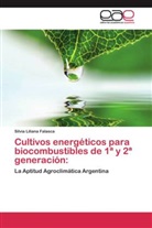 Silvia Liliana Falasca - Cultivos energéticos para biocombustibles de 1ª y 2ª generación: