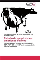 Eugeni Álvarez Álvarez, Eugenia Álvarez Álvarez, Mª Teres Carbajo Rueda, Mª Teresa Carbajo Rueda, Lina Fernández Celadilla - Estudio de apoptosis en embriones bovinos