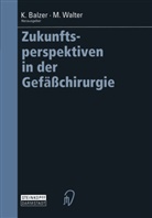 Klau Balzer, Klaus Balzer, Klaus von Balzer, WALTER, Walter, Michael Walter - Zukunftsperspektiven in der Gefäßchirurgie