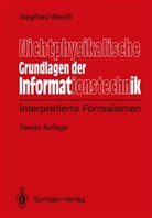 Siegfied Wendt, Siegfried Wendt - Nichtphysikalische Grundlagen der Informationstechnik