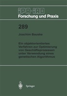 Joachim Bauske - Ein objektorientiertes Verfahren zur Optimierung von Geschäftsprozessen unter Verwendung eines genetischen Algorithmus